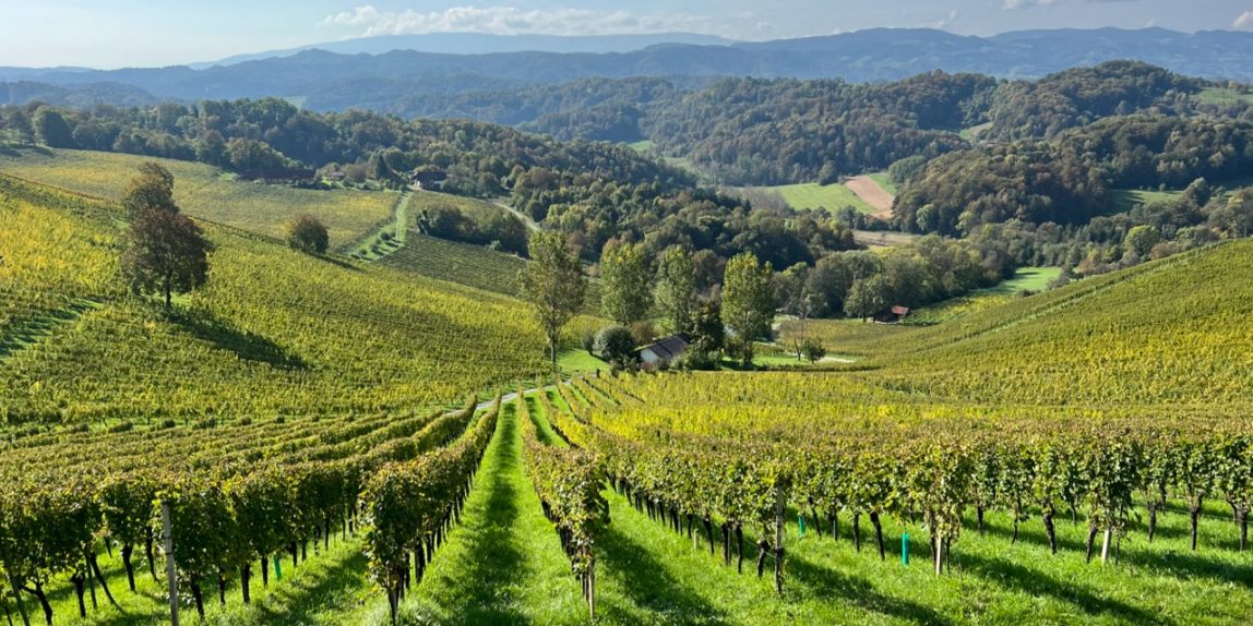 Tement's famous Zieregg vineyard