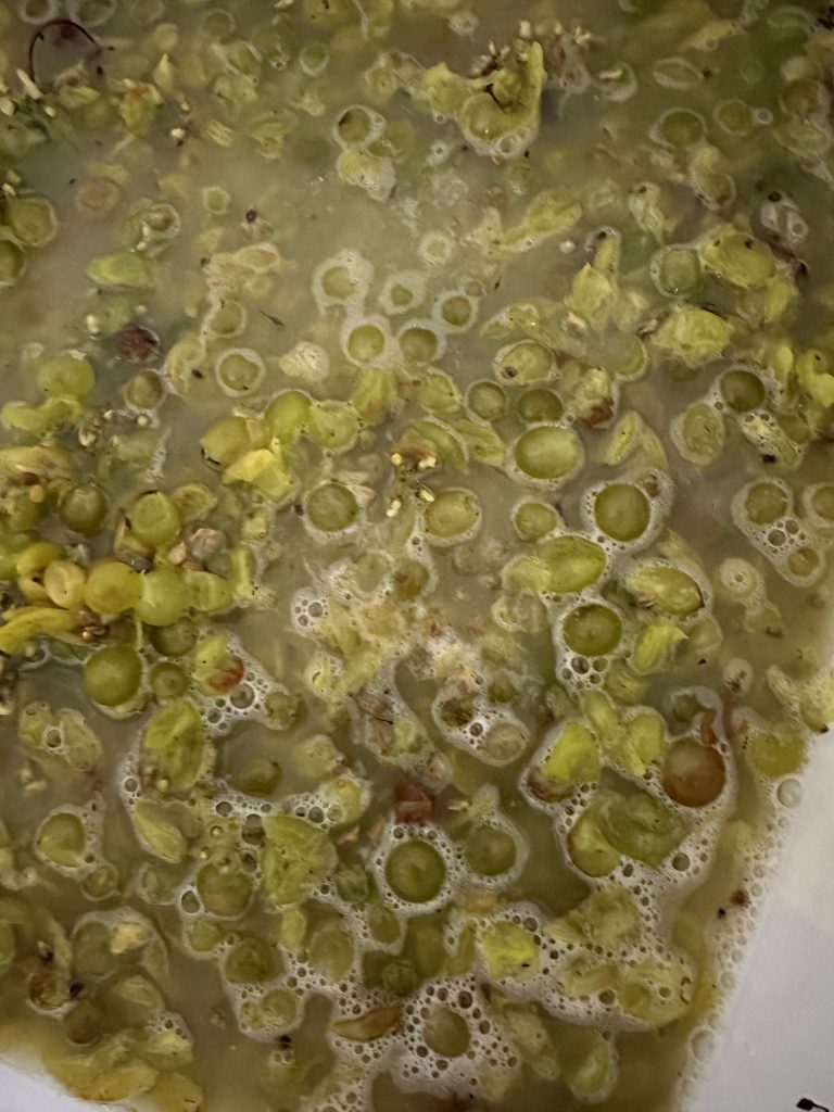 Pinot Blanc