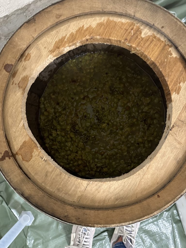 Open-top fermenter