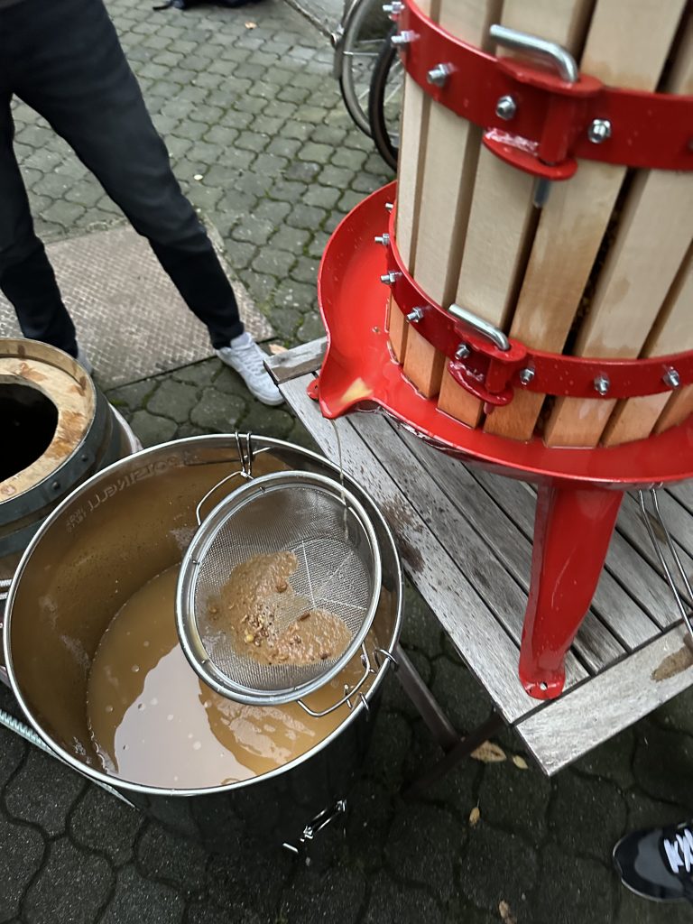 Pressing the Pinot Blanc