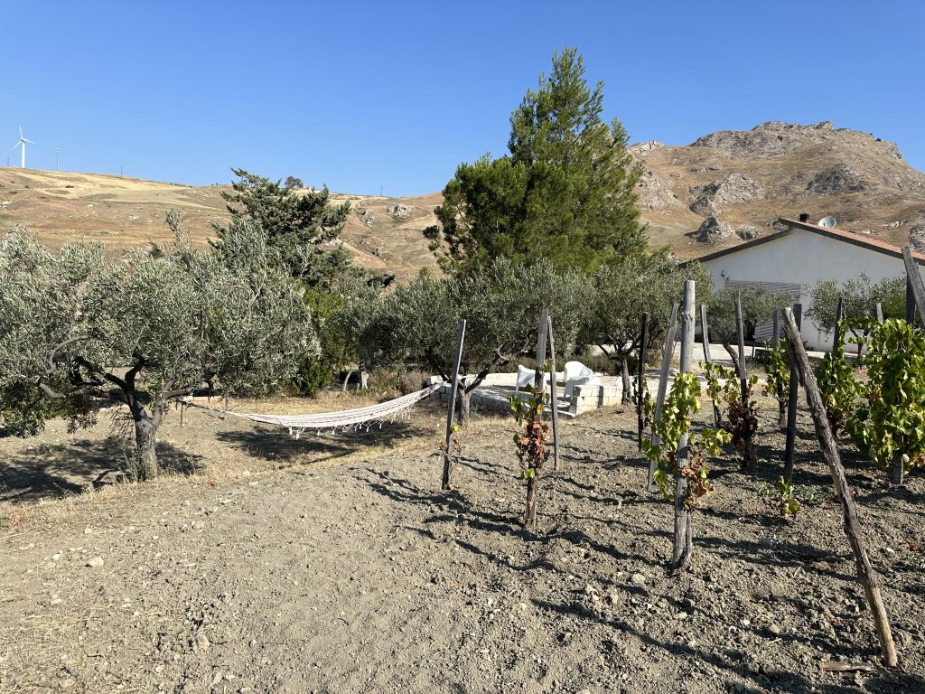 Passofonduto winery and vineyards