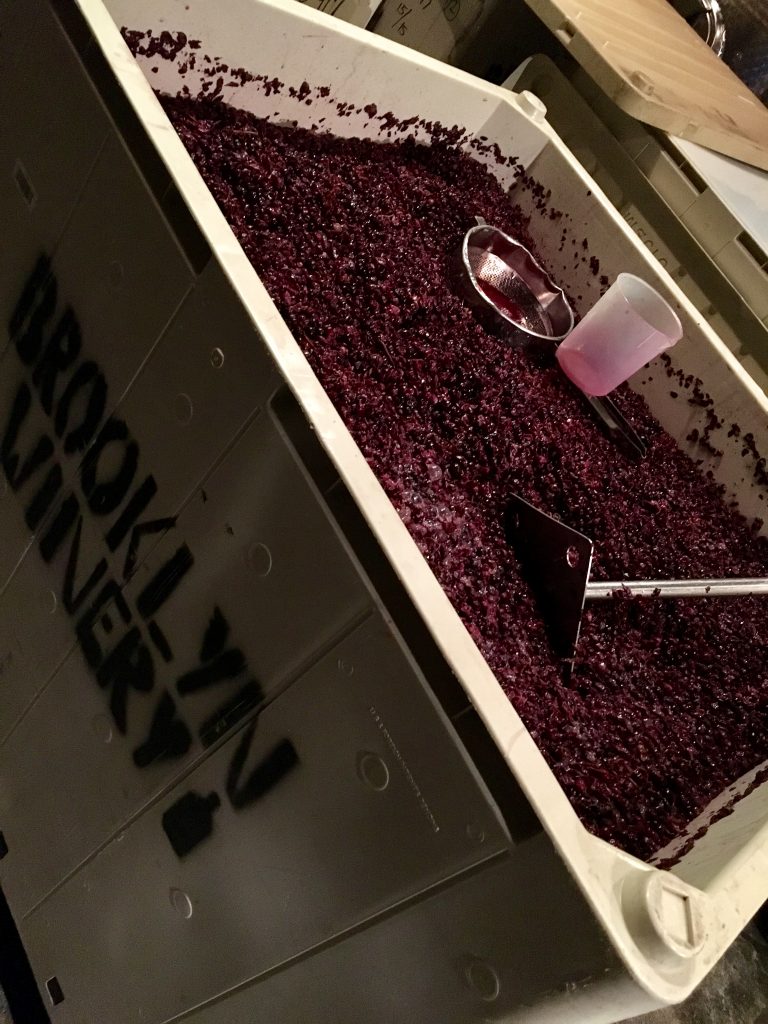 Brooklyn winery