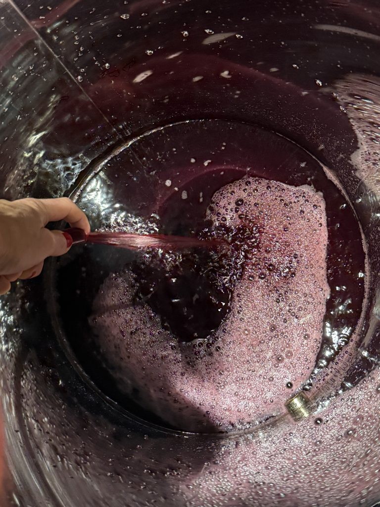 Aeration of pinot noir must